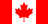 Option icon