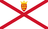 Option icon