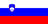 Option icon