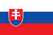 Option icon