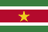 Option icon