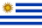 Option icon