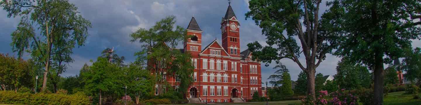 Banner image of Auburn University