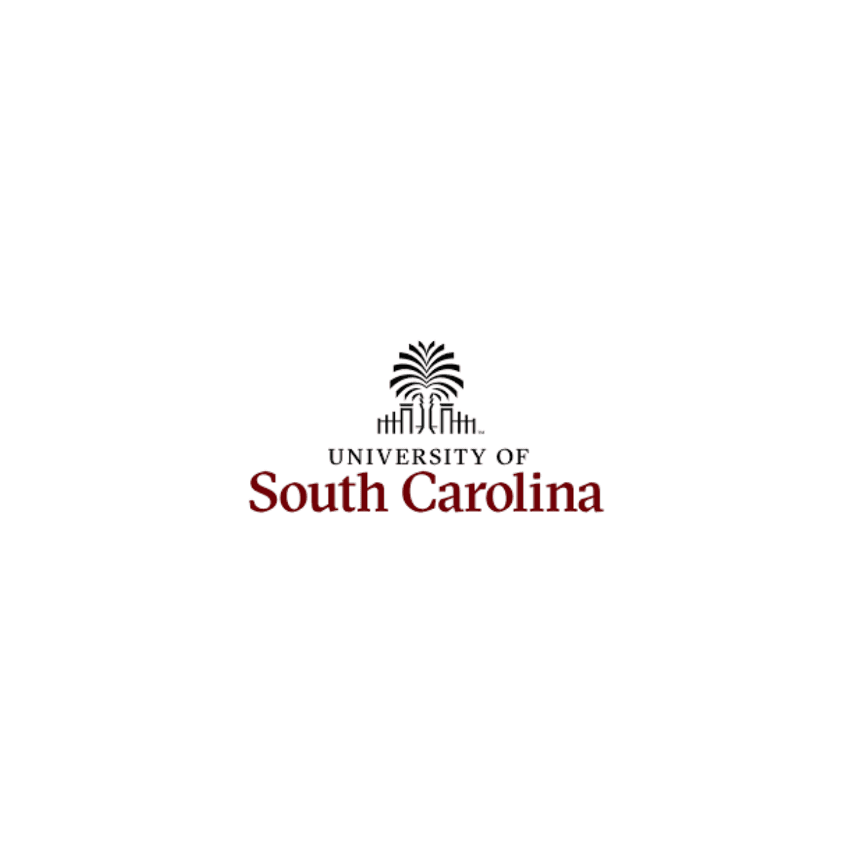 Logo image of University of South Carolina