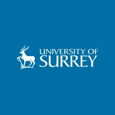 Logo image of University of Surrey International Study Centre