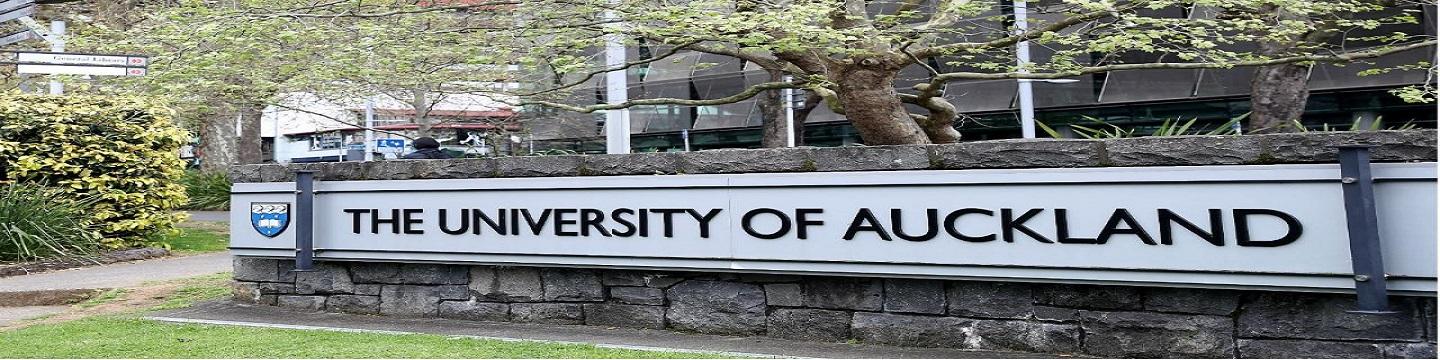 Banner image of University of Auckland International College