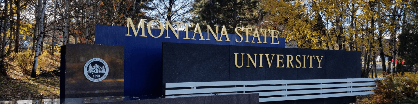 Banner image of Montana State University