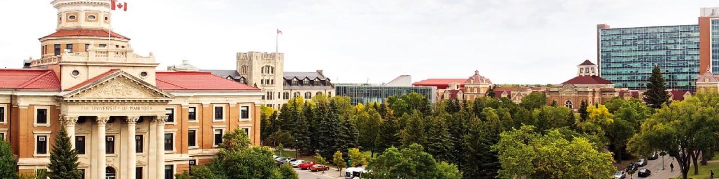 Banner image of International College of Manitoba (ICM)
