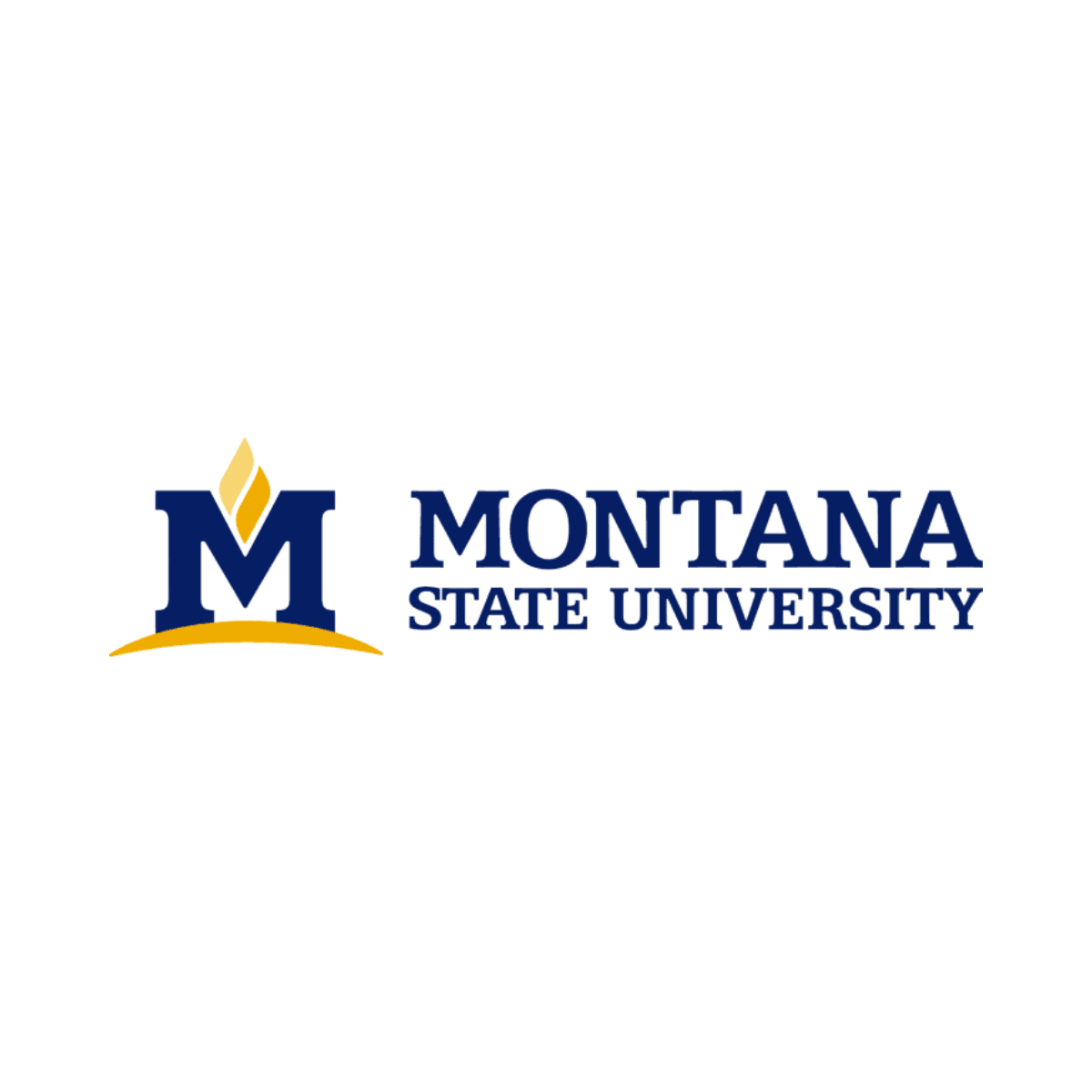 Logo image of Montana State University