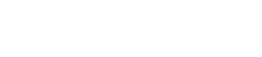 SecureMyScholarship Logo White